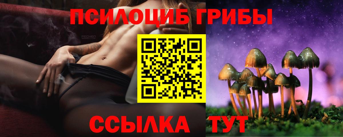 Усть-Джегута  Галлюциногенные грибы Magic Shrooms  Вход с VPN 