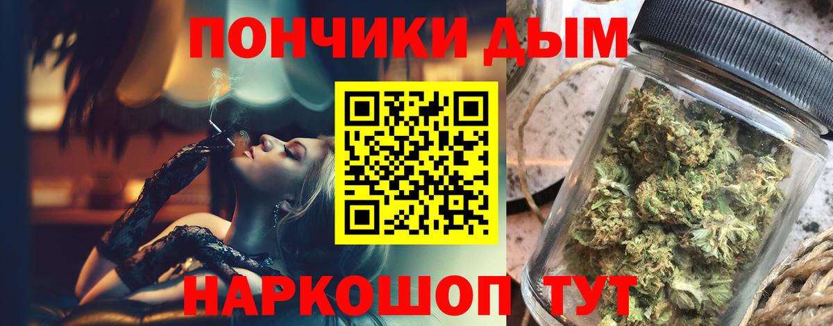 МАРИХУАНА планчик  Вход с VPN  Усть-Джегута  Каннабис сатива 